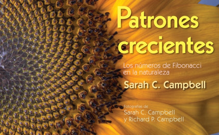 Patrones Crecientes Growing Patterns