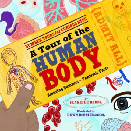 Tour of the Human Body A  Amazing NumbersFantastic Facts