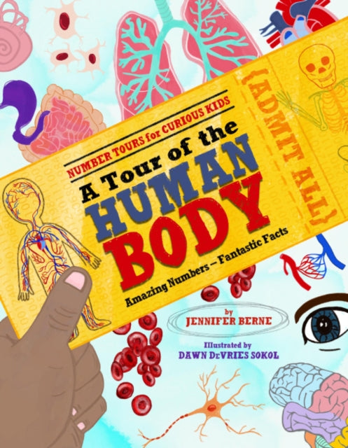 Tour of the Human Body A  Amazing NumbersFantastic Facts