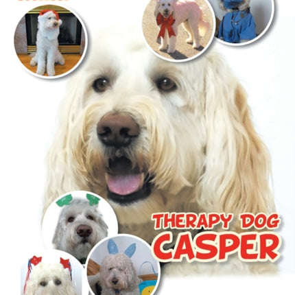 Awesome Miracle Stories: Therapy Dog Casper
