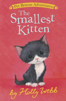 The Smallest Kitten