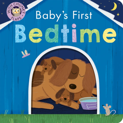 Baby's First Bedtime: With Sturdy Flaps