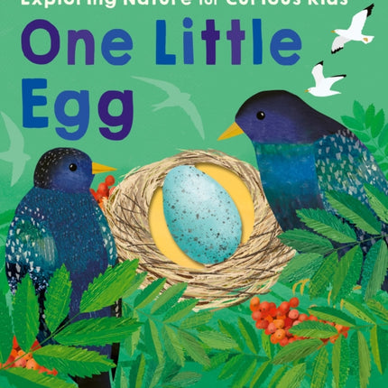 One Little Egg: Exploring Nature for Curious Kids