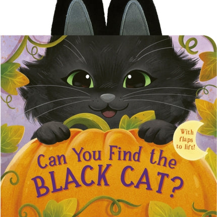 Can You Find the Black Cat