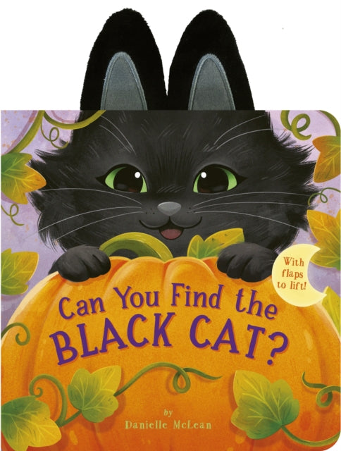 Can You Find the Black Cat