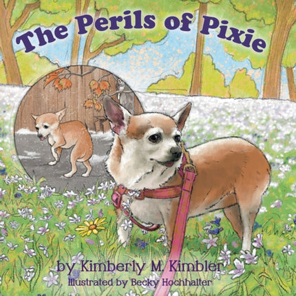 The Perils of Pixie