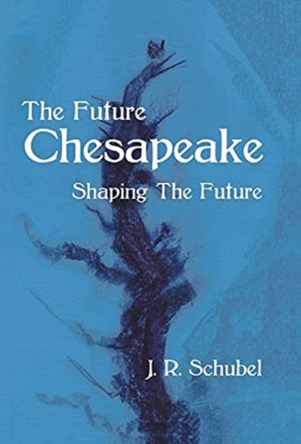 The Future Chesapeake: Shaping the Future