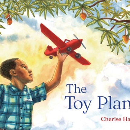 The Toy Plane