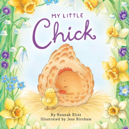 My Little Chick