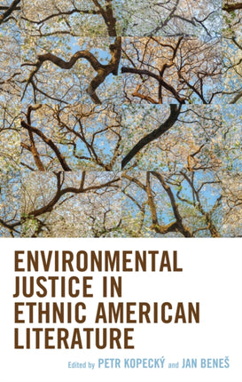 Environmental Justice in Ethnic American