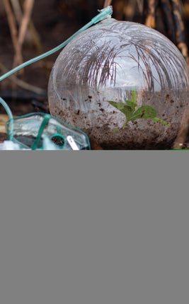 Ibero-American Ecocriticism: Cultural and Social