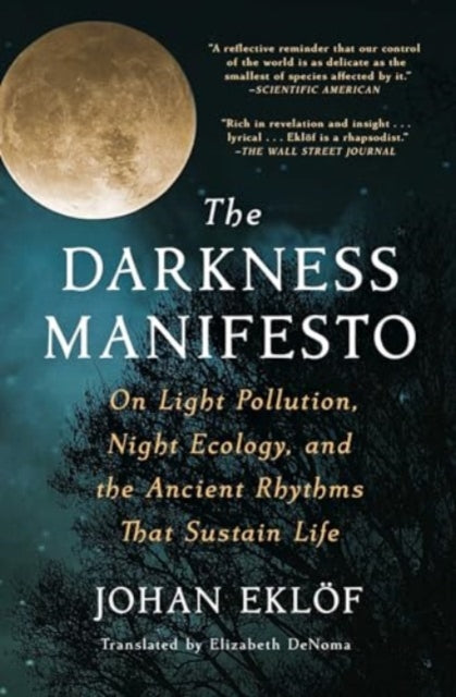 The Darkness Manifesto: On Light Pollution, Night Ecology, and the Ancient Rhythms That Sustain Life