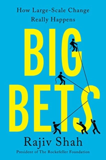 Big Bets: How Large-Scale Change Really Happens