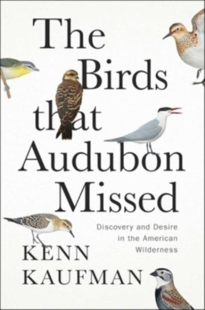 The Birds That Audubon Missed