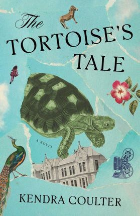 The Tortoises Tale