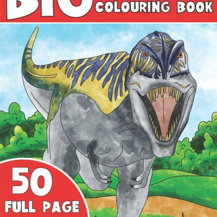 The Big Dinosaur Colouring Book: Kids Colouring Book With Dinosaur Facts