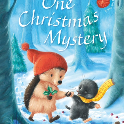 One Christmas Mystery: Little Hedgehog & Friends