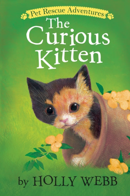 The Curious Kitten