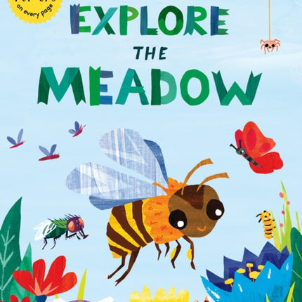 Curious Kids: Explore the Meadow: With POP-UPS on every page