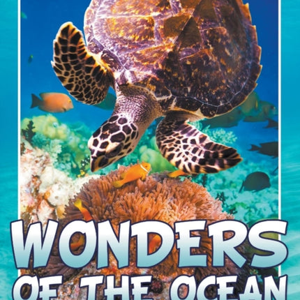 Wonders of the Ocean