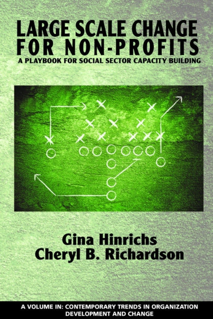Large Scale Change For Non-Profits: A Playbook
