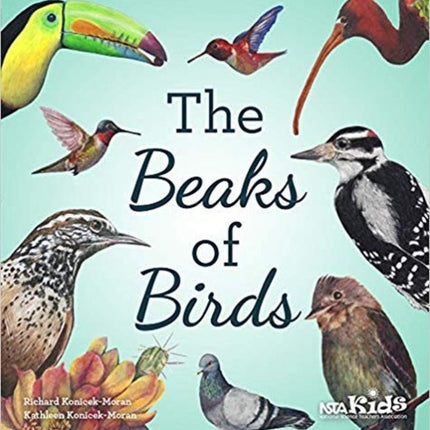 The Beaks of Birds