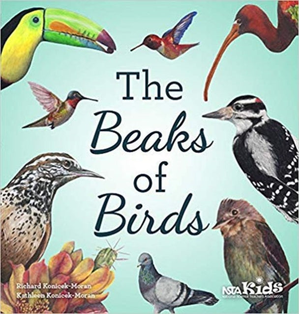 The Beaks of Birds