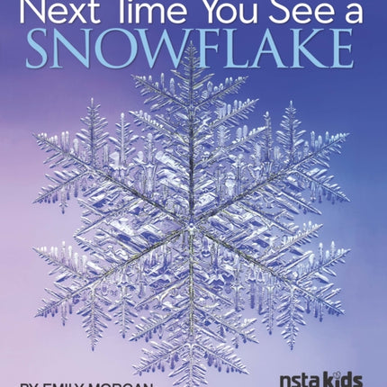 Next Time You See a Snowflake
