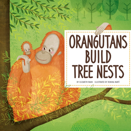 Orangutans Build Tree Nests: Animal Builders