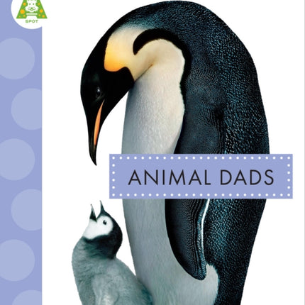 Animal Dads