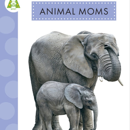 Animal Moms