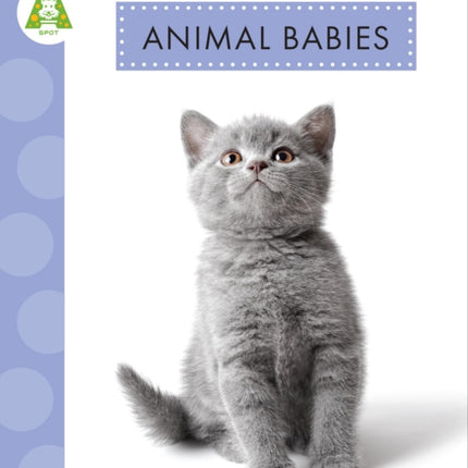 Animal Babies