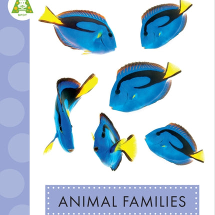 Animal Families