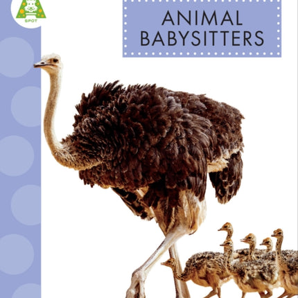 Animal Babysitters