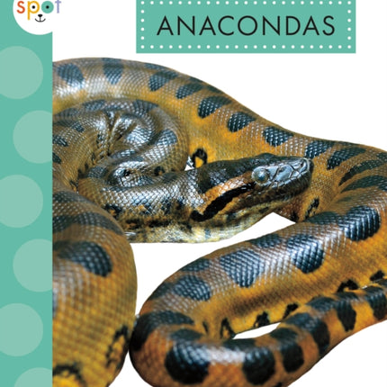 Anacondas