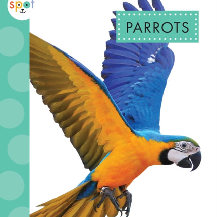 Parrots