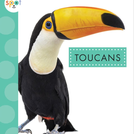 Toucans