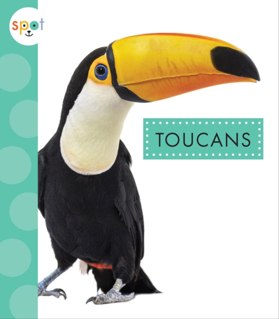 Toucans