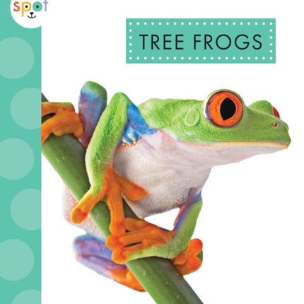 Tree Frogs