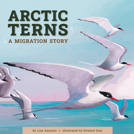 Arctic Terns