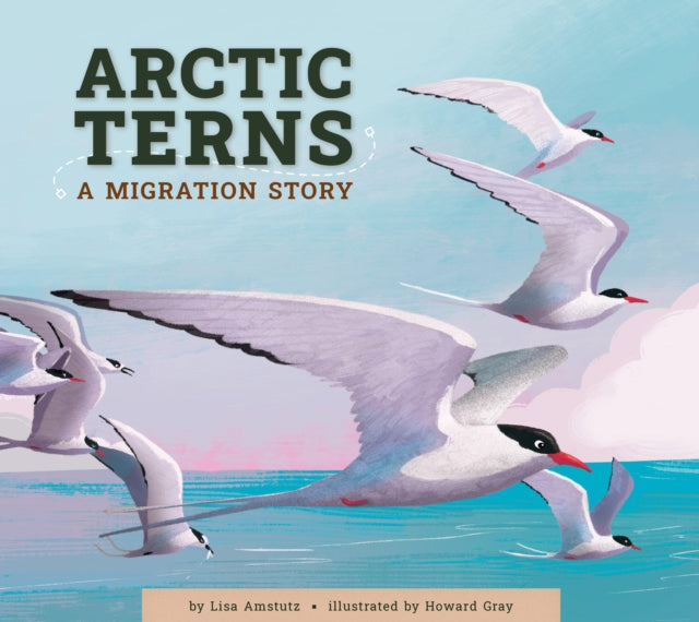 Arctic Terns