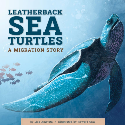 Leatherback Sea Turtles