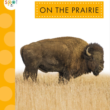 On the Prairie