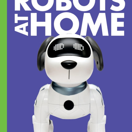 Curious about Robots at Home