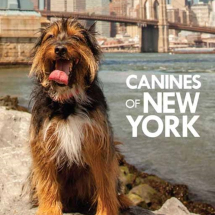 Canines of New York