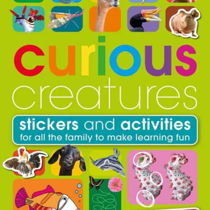 Curious Creatures: With Stickers and Activities to Make Family Learning Fun