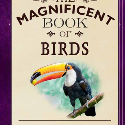 The Magnificent Book of Birds