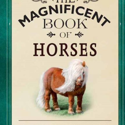 The Magnificent Book of Horses