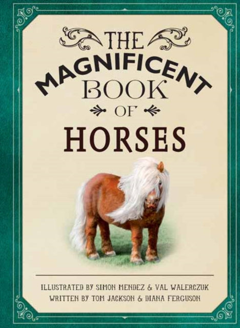 The Magnificent Book of Horses