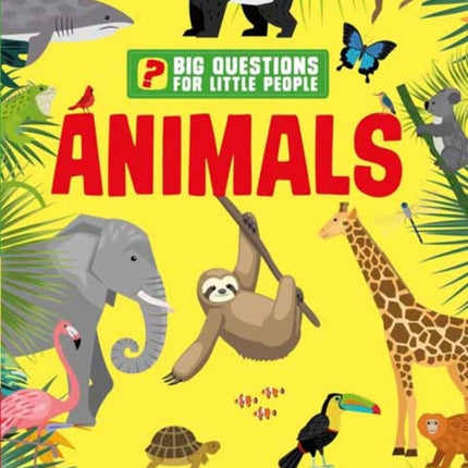 Big Questions for Little People: Animals:  Answers all the questions that children like to ask 